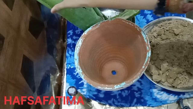 how to grow aloe vera plant perfectly.200%grow kar ga inshallah ایلو ویرا کو گملوں میں اگائیں#hafsa смотреть онлайн