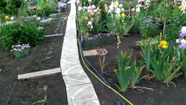 ИДУ В ГОСТИ.МОРЕ ЦВЕТОВ И ВПЕЧАТЛЕНИЙ. смотреть онлайн