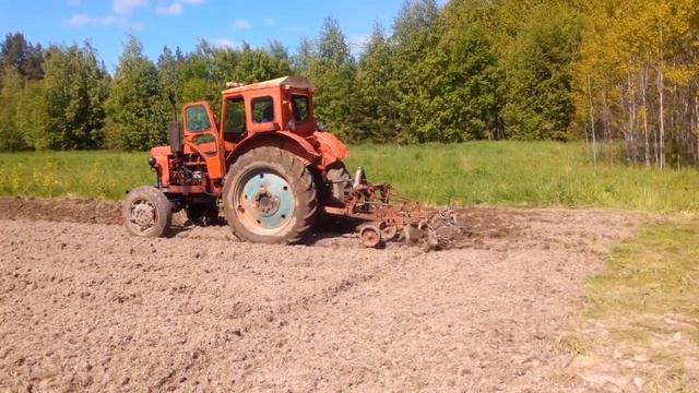 Трактор Т-40АМ Нарезаем гребни на новом участке смотреть онлайн