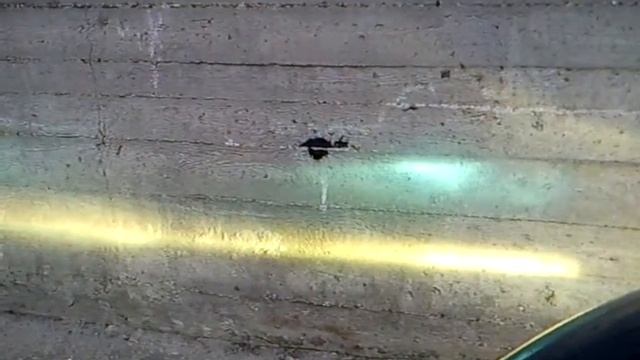 H.I.D 3000K & 4500K смотреть онлайн