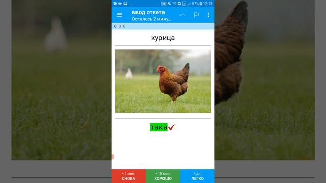 Мобильное приложение Ankidroid. Карточки для изучения калмыцкого языка. Загрузка словарей. смотреть онлайн