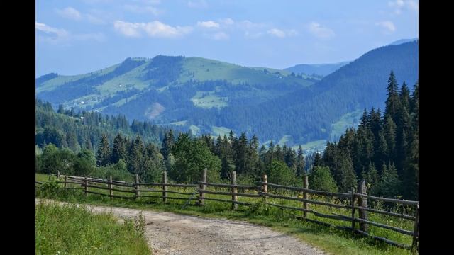 Дорога из Верховины на гору Белая Кобыла Карпаты смотреть онлайн