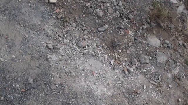 12/Лаптинская хроника. Ветреный день. Собака смотреть онлайн