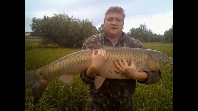 Трофейные рыбы.Гиганты наших вод. смотреть онлайн