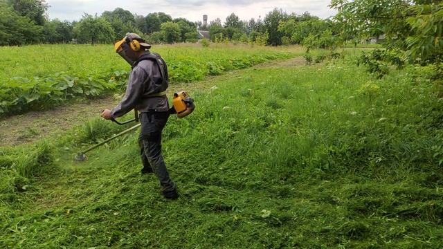 Grasstrimmer Alpina ???⚡⚡⚡??? смотреть онлайн