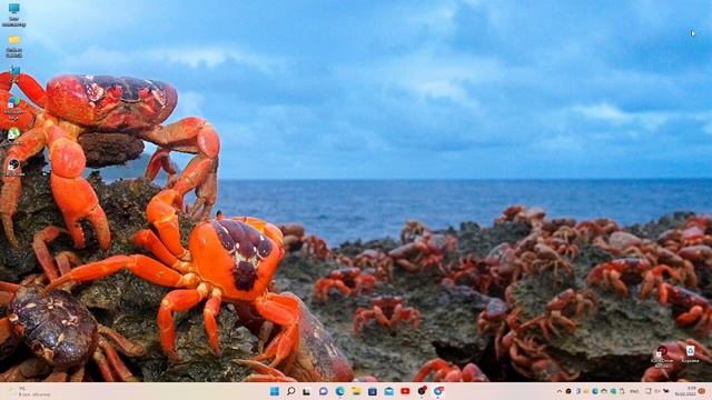 WINDOWS11 ФЕВРАЛЬСКОЕ КРУПНОЕ ОБНОВЛЕНИЕ (21H2 2022) смотреть онлайн
