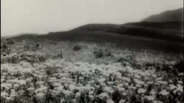 Летопись полувека, год 1968.