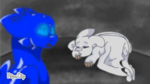 Toothless X Light fury part 4