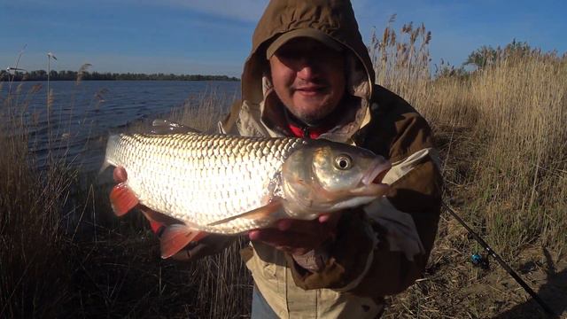 НЕ ПОКАЗАТЕЛЬ смотреть онлайн