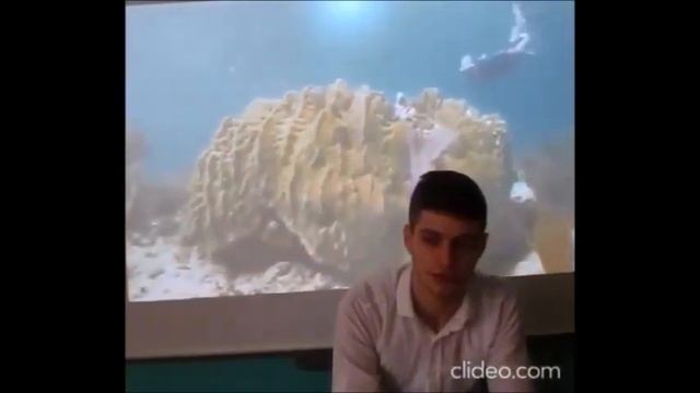 Птенец гнезда Петрова смотреть онлайн