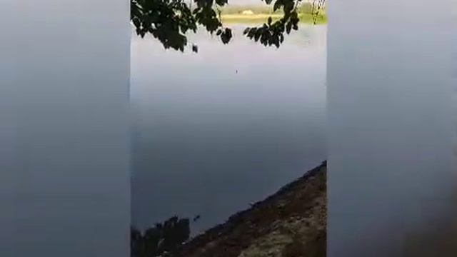 Базар-коргон водохранилише рыбалка смотреть онлайн