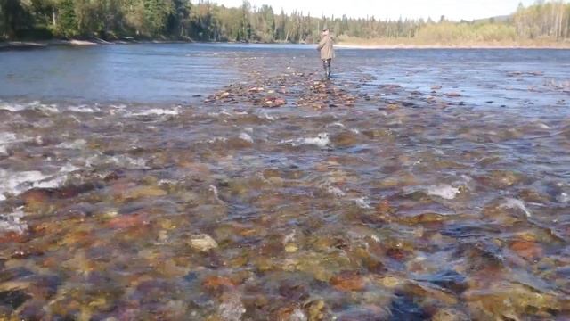 Река Амыл, лето 2019 смотреть онлайн