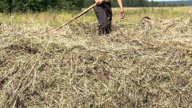 Уборка сена! смотреть онлайн