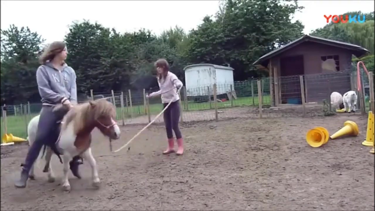 Pony's premiere ride and buck смотреть онлайн