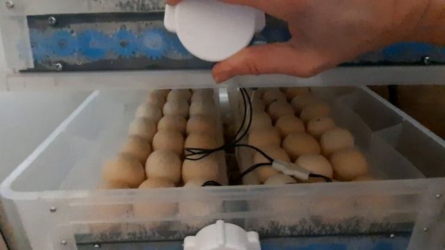 Новости на 25.02.2021 года. Идем в баню вместе со мной!? смотреть онлайн