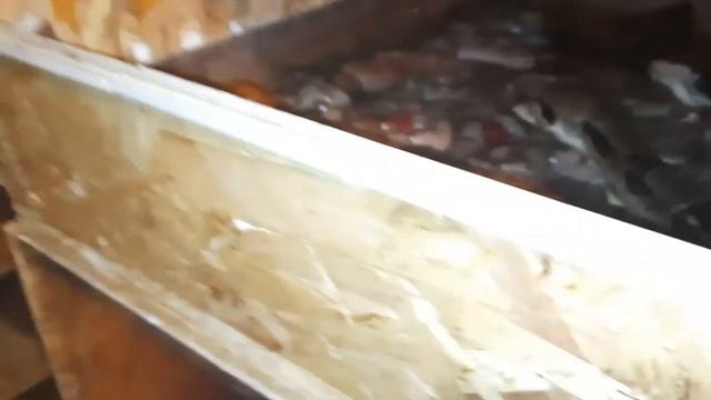 Рождение удавов смотреть онлайн