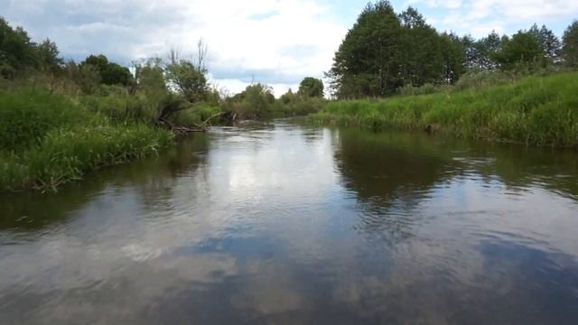 По реке Навля с ветерком! Держите ваши кепки! Июнь 2017 часть 2 смотреть онлайн