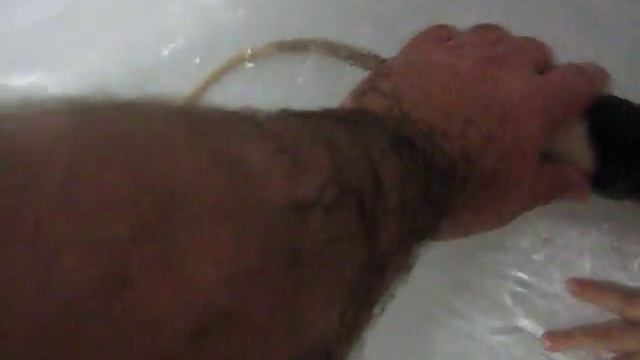 Крыса Соня купается