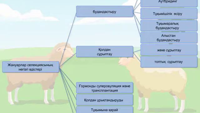 жануарлар селекциясың түрлері смотреть онлайн