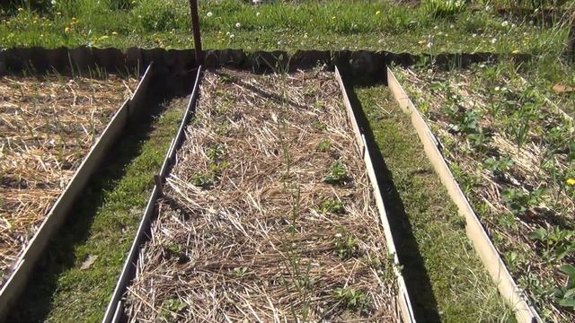 ДАЧА В МАЕ смотреть онлайн