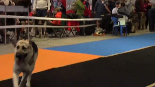 МАРС РАБОЧИЙ КЛАСС CAC смотреть онлайн