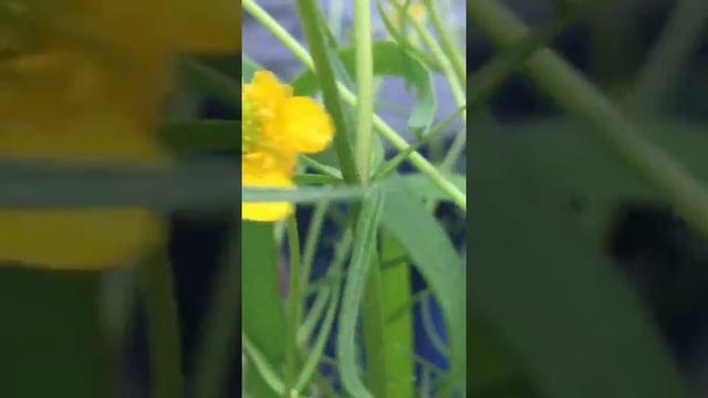 Красоты природы смотреть онлайн