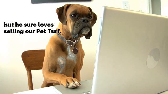 TURFWORX Pet Turf is the chosen favorite among our four legged friends. смотреть онлайн