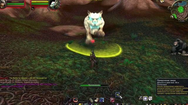 Как и где приручить Духа зверя 