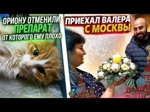 Ориону отменили препарат от которого плохо и уменьшили капельницу .Арина и Валера приехали.