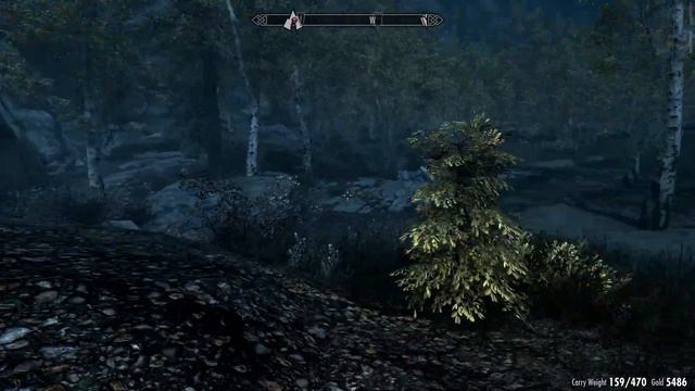 Skyrim SE 2 Handed Play Part 12 смотреть онлайн