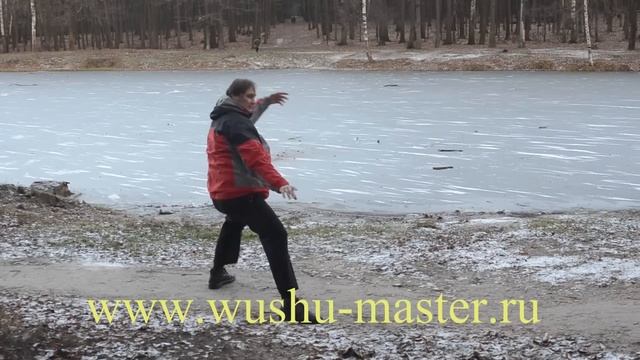 Ушу, Тайцзицюань цигун 48ф // Kung Fu Wushu Qi Gong Tai Chi