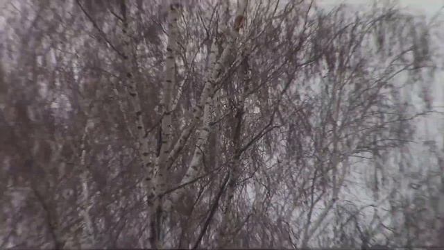 Test Zoom 57 X смотреть онлайн