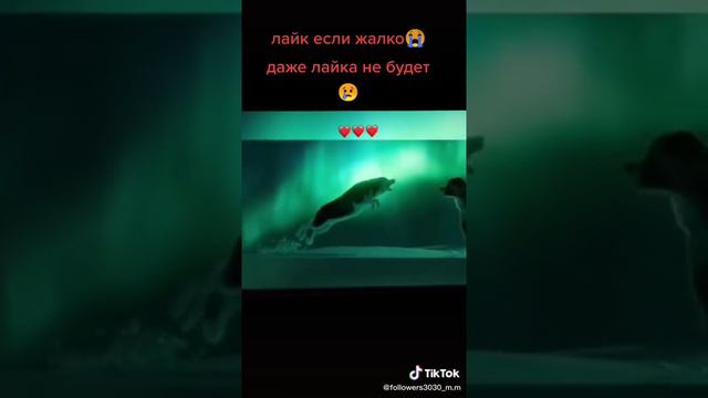 Снова уезжаю из родного дома я смотреть онлайн