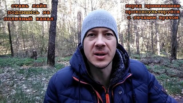 ★Как ЛЕЧИТЬ ПЕЧЕНЬ народными средствами. Чистка печени кукурузными рыльцами, куркумой, чесноком. смотреть онлайн