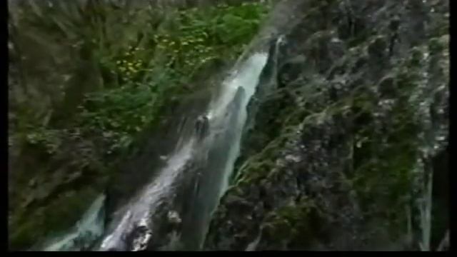 Вся правда о воде от ZEPTER AQUEENA смотреть онлайн