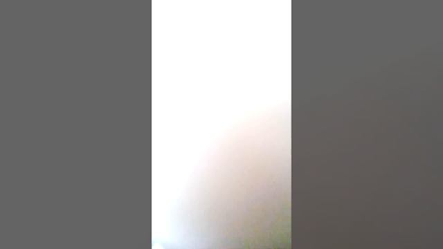 Призрак смотреть онлайн