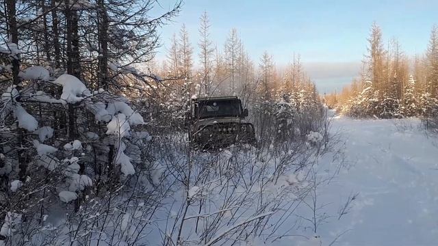 Зима В лесу смотреть онлайн
