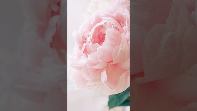 НЕВОЗМОЖНО ЗАБЫТЬ смотреть онлайн