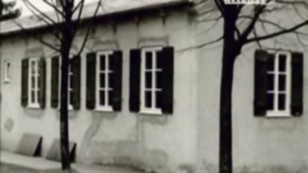 Без названия