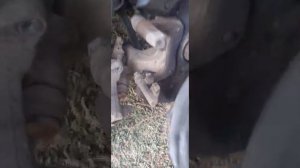 Как снять ступицу на Skoda Yeti