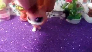 Как нельзя снимать видео с лпс /ошибки начинающих лпс блогеров