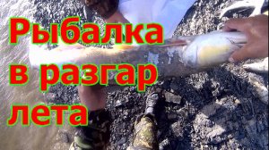 Рыбалка на Амуре в разгар лета⛴⛴⛴