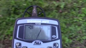 АКА Сигнум - годограф/ Заброшенное поле