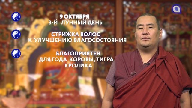 Зурхай на 09.10.2021 смотреть онлайн