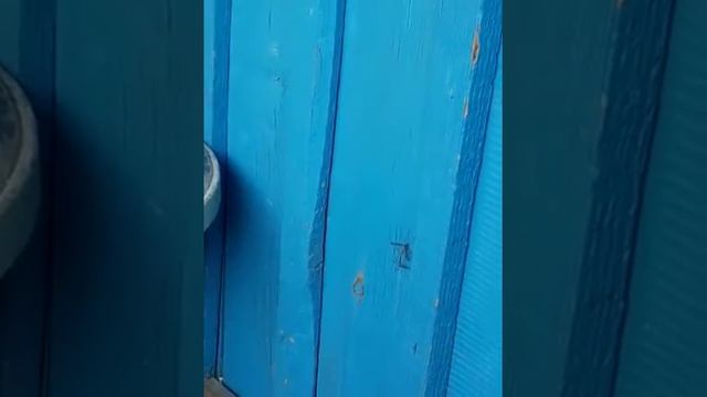 Природа во Всей Красе