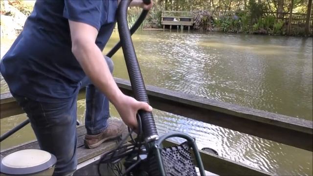 Pressure Filter and Shower Filter for a Koi Pond - A Match Made in Heaven? смотреть онлайн
