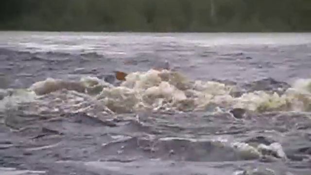 My first kayak season '2009