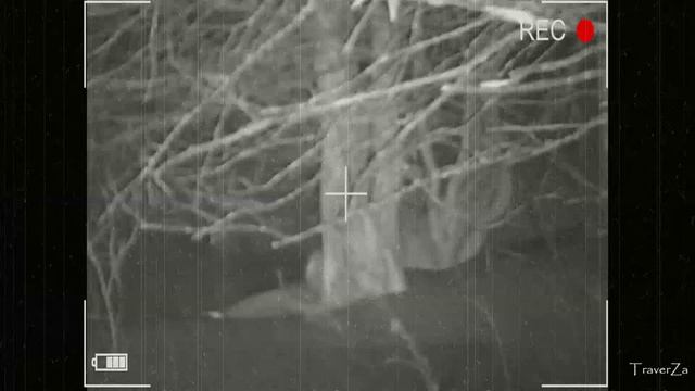 Славянская мифология Упырь смотреть онлайн