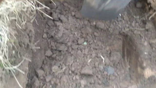 Нашел клад))))))) смотреть онлайн