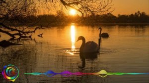 Алимханов А. - Я Куплю Тебе Дом (Лесоповал кавер)